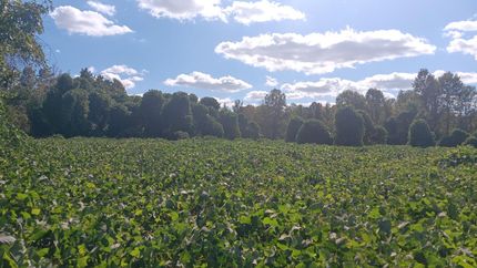 Land for sale in Franklin County, North Carolina