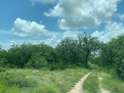 Farm and Ranch for sale in Duval County, Texas