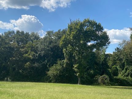 Land for sale in Henderson County, Texas