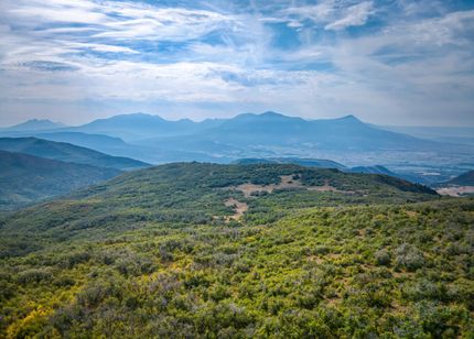 Undeveloped Land for sale in Delta County, Colorado