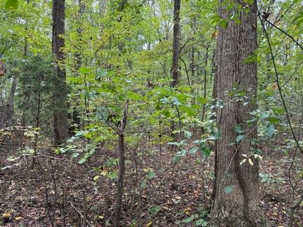 Land for sale in Monroe County, Tennessee