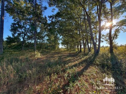 Land for sale in Geneva County, Alabama