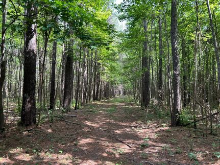 Farm and Ranch for sale in Noxubee County, Mississippi