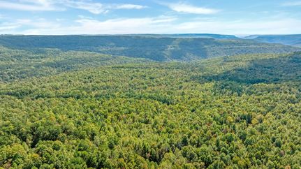 Undeveloped Land for sale in Grundy County, Tennessee