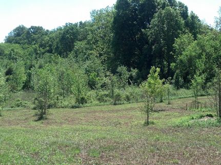 Recreational Property for sale in Coffee County, Tennessee