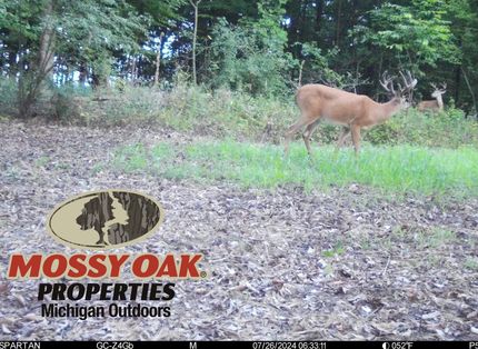 Undeveloped Land for sale in Montcalm County, Michigan