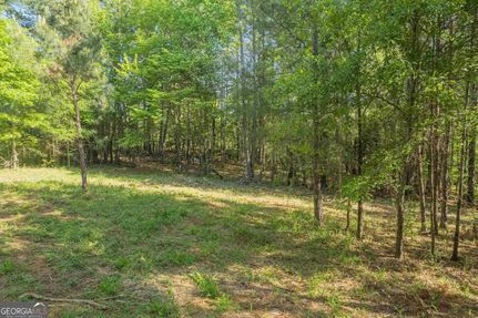 Undeveloped Land for sale in Stephens County, Georgia