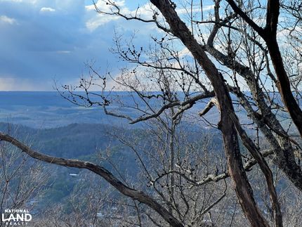 Undeveloped Land for sale in DeKalb County, Alabama