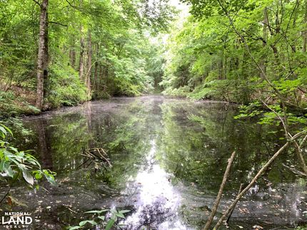 Timberland Property in Clarendon County, South Carolina