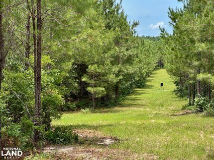 Land for sale in Dodge County, Georgia