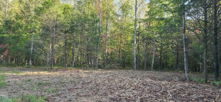 Undeveloped Land for sale in Grayson County, Kentucky