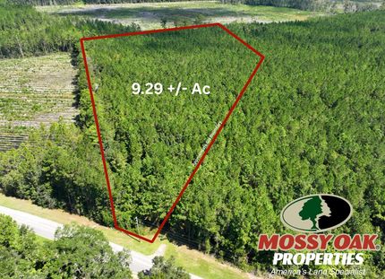Undeveloped Land for sale in Camden County, Georgia