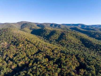 Undeveloped Land for sale in Pocahontas County, West Virginia