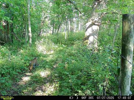 Farm and Ranch in Guthrie County, Iowa