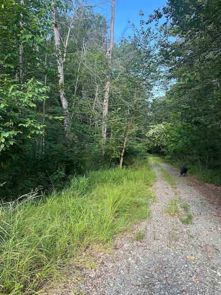 Undeveloped Land for sale in Geauga County, Ohio
