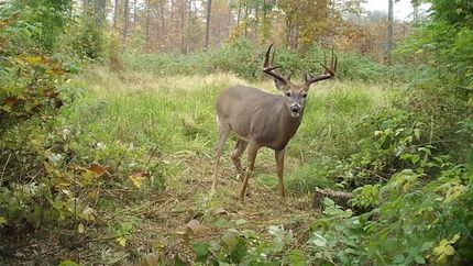 Recreational Property for sale in Lincoln County, Wisconsin