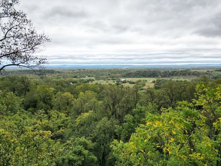 Undeveloped Land for sale in Berkeley County, West Virginia