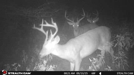 Farm and Ranch for sale in Coal County, Oklahoma