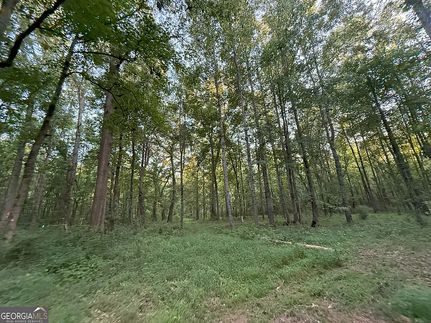 Undeveloped Land for sale in Madison County, Georgia