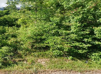 Hunting Property for sale in Jefferson County, Arkansas