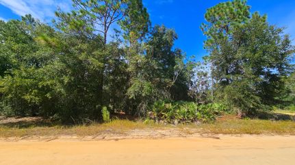 Recreational Property for sale in Putnam County, Florida