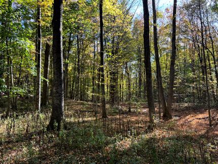 Undeveloped Land for sale in Oswego County, New York