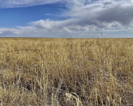 Timberland Property for sale in Kiowa County, Colorado