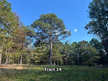Commercial Property for sale in Pushmataha County, Oklahoma