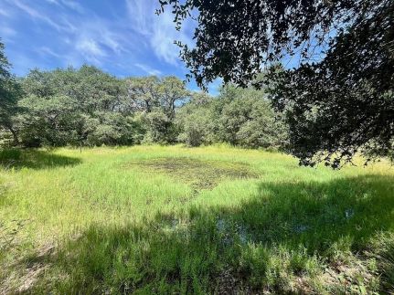 Land for sale in Colorado County, Texas
