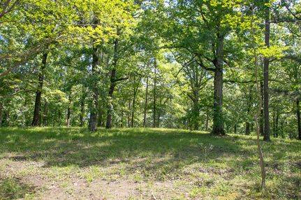 Farm and Ranch for sale in Carroll County, Mississippi
