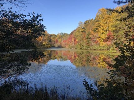 Timberland Property for sale in Cumberland County, Tennessee