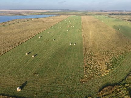 Undeveloped Land for sale in Edmunds County, South Dakota