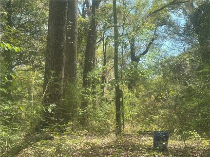 Undeveloped Land for sale in Mobile County, Alabama