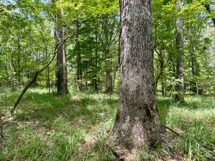 Timberland Property for sale in Lincoln County, Mississippi