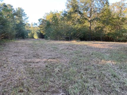 Land for sale in Crenshaw County, Alabama
