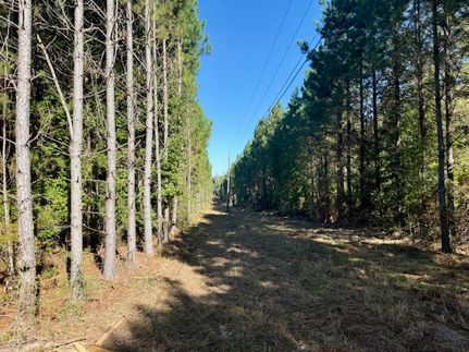 Recreational Property for sale in Lincoln County, Mississippi