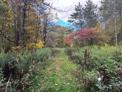 Hunting Property for sale in Oswego County, New York