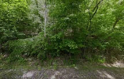 Undeveloped Land in DeKalb County, Tennessee