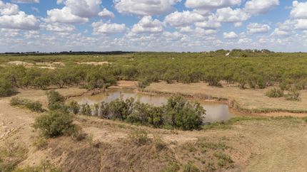 Timberland Property for sale in Young County, Texas