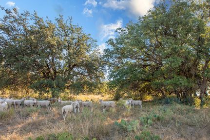 Recreational Property for sale in Concho County, Texas