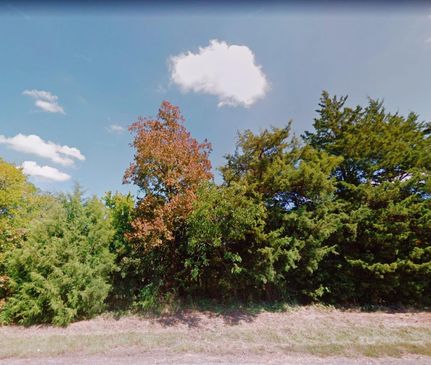 Undeveloped Land for sale in Camp County, Texas