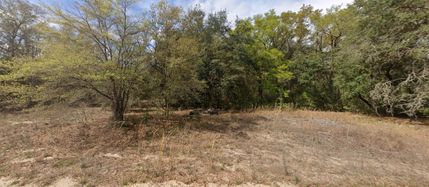 Undeveloped Land for sale in Putnam County, Florida