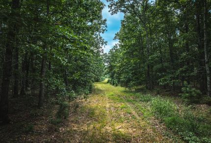 Recreational Property in Texas County, Missouri