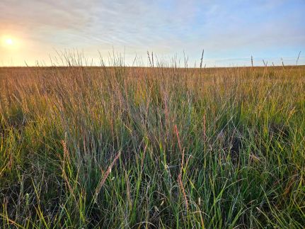 Farm and Ranch for sale in Cheyenne County, Nebraska