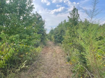 Undeveloped Land for sale in Beauregard Parish, Louisiana