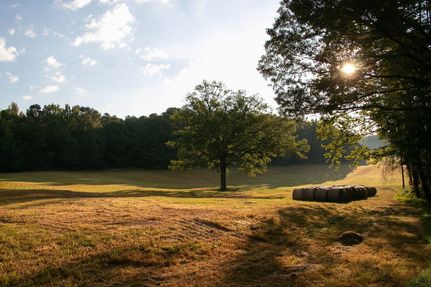 Timberland Property in Carroll County, Mississippi