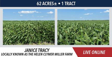 Land for sale in Woodford County, Illinois