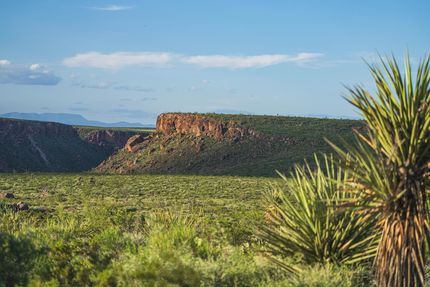 Farm and Ranch for sale in Presidio County, Texas
