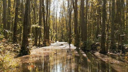 Recreational Property for sale in Madison County, Tennessee