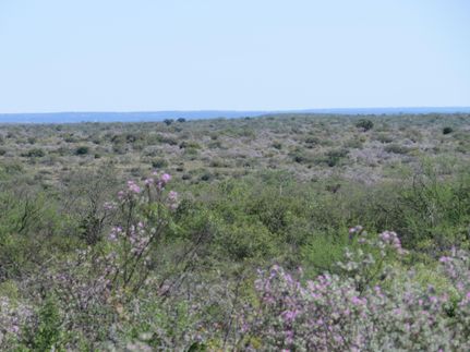 Farm and Ranch for sale in Val Verde County, Texas